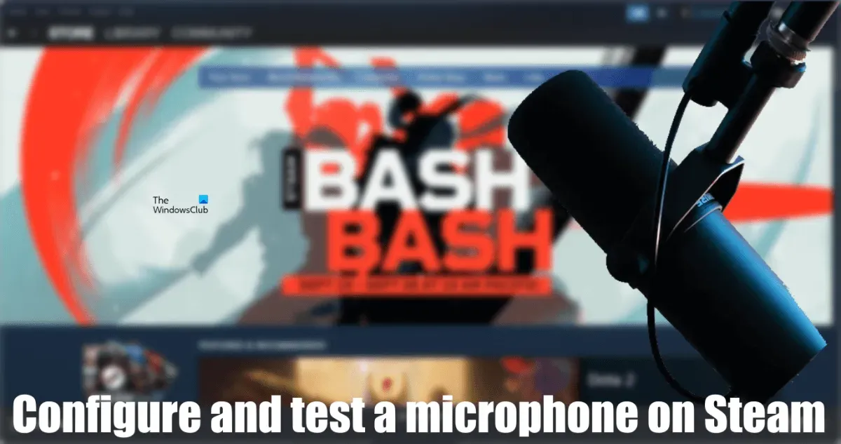 So richten Sie das Mikrofon auf Steam ein und testen es
