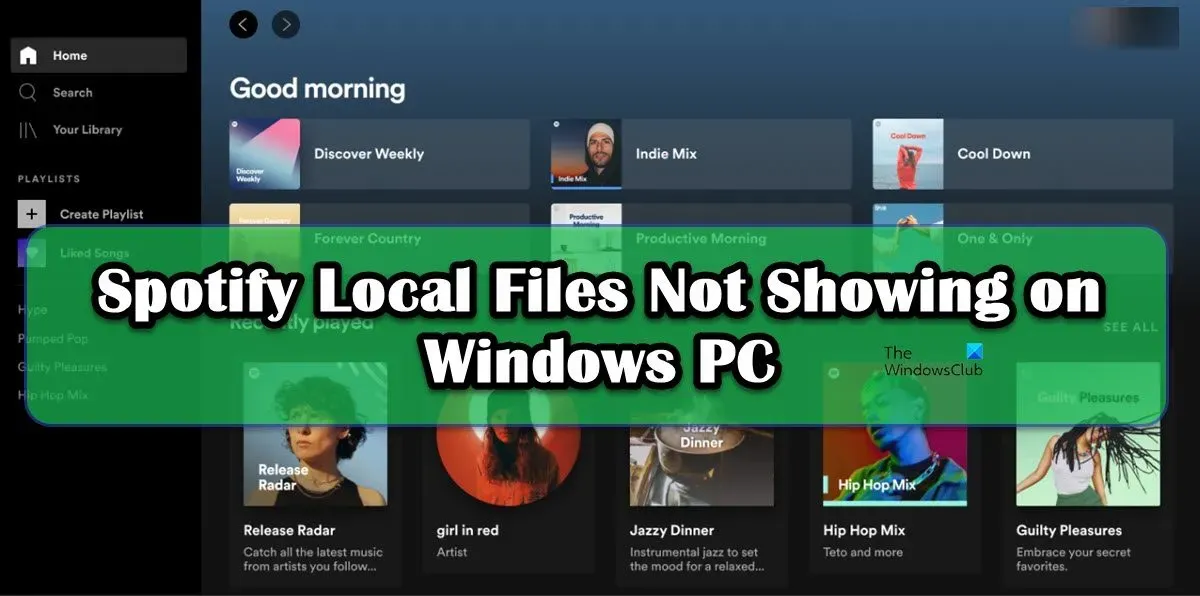 Lokale Spotify-Dateien werden auf Windows-PCs nicht angezeigt