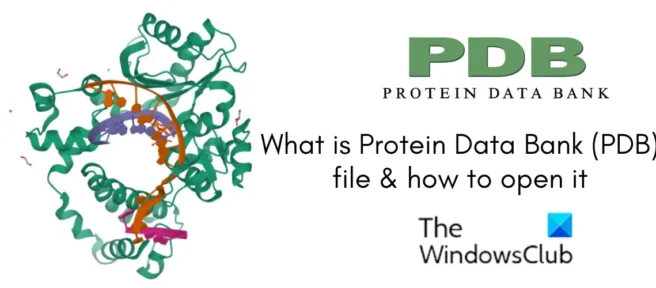 Was ist eine Protein Data Bank (PDB)-Datei? Wie kann ich es in Windows 11 öffnen und anzeigen?