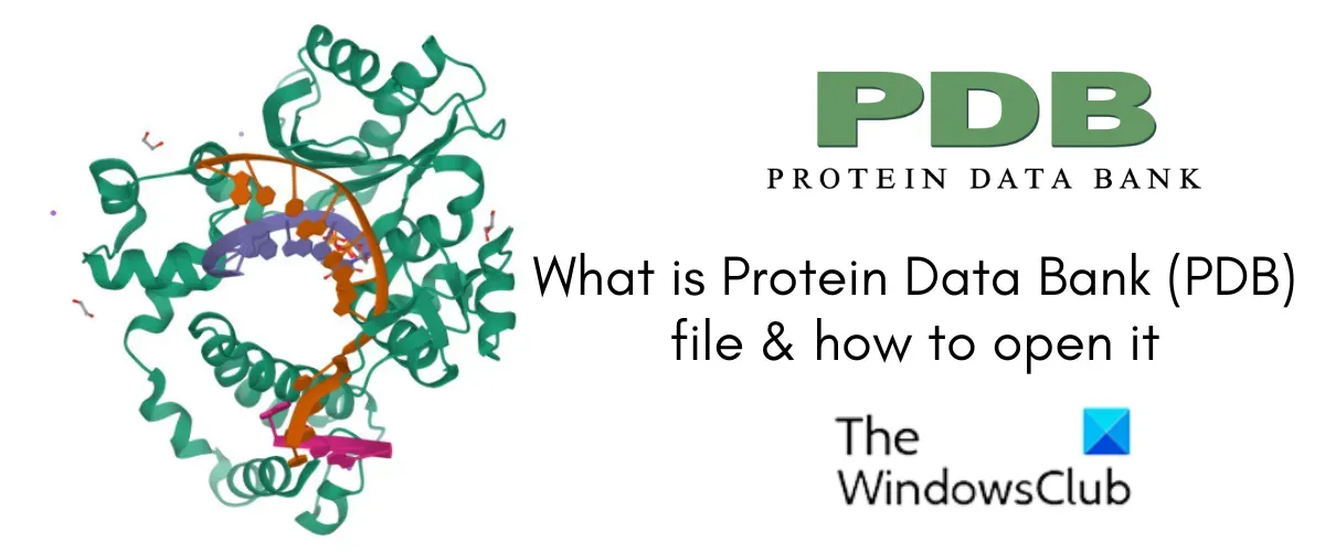 Was ist eine Protein Data Bank (PDB)-Datei? Wie kann ich es in Windows 11 öffnen und anzeigen?
