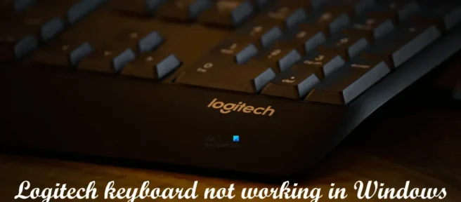 Logitech-Tastatur funktioniert nicht unter Windows 11/10