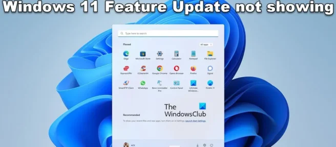 Windows 11 22H2-Update wird nicht angezeigt