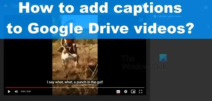 So fügen Sie Google Drive-Videos Bildunterschriften und Untertitel hinzu