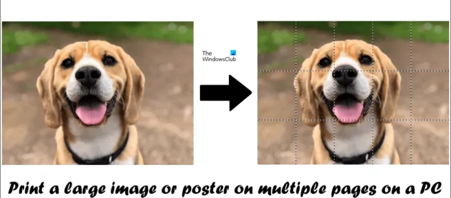 So drucken Sie ein großes Bild oder Poster auf mehreren Seiten auf einem PC