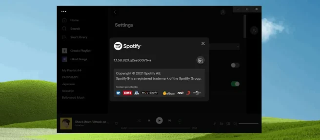 La aplicación Spotify se instala automáticamente en Windows 10 y Windows 11.