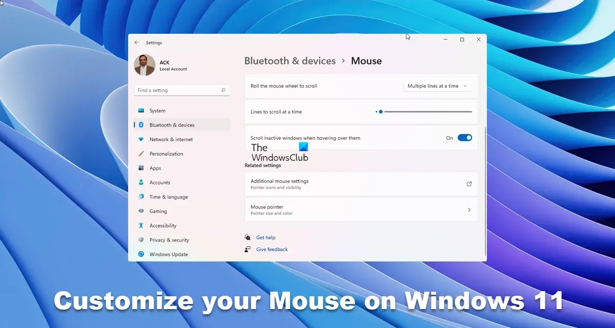 Cómo personalizar los botones del mouse, puntero, cursor en Windows 11/10