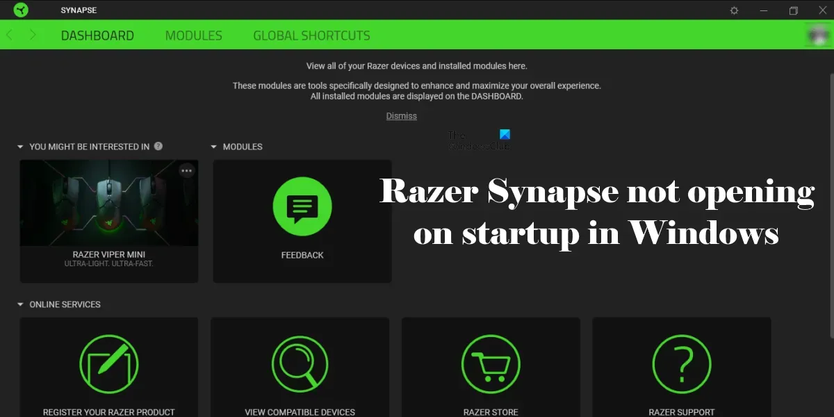 Razer Synapse no se abre al inicio en Windows 11/10