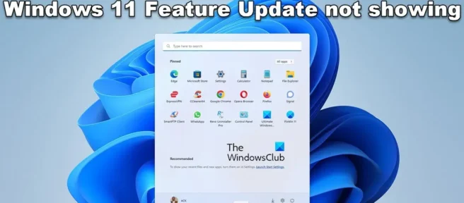 La actualización de Windows 11 22H2 no aparece