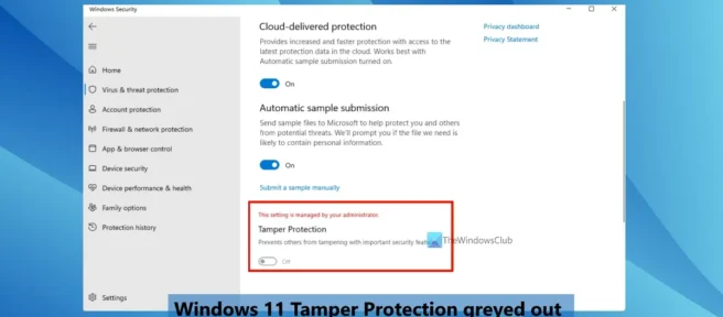 La protección contra manipulaciones no está disponible en Windows 11