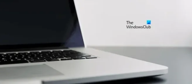Repare la pantalla negra mientras reproduce un video en Windows 11/10