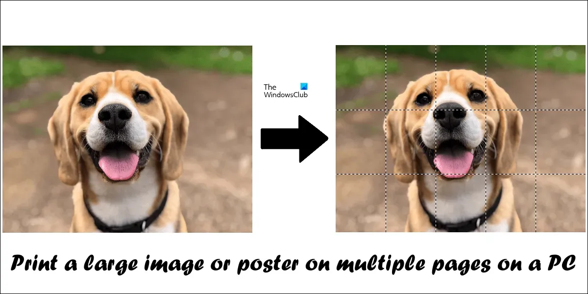 Cómo imprimir una imagen grande o un póster en varias páginas en una PC