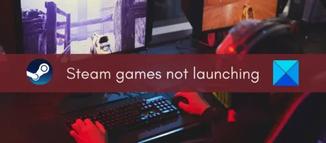 Los juegos de Steam no se inician o abren en Windows 11/10