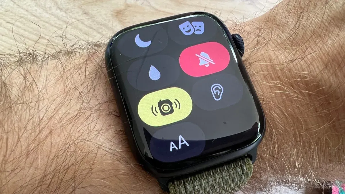 Apple Watch Walkie-Talkie no funciona? 6 correcciones para probar