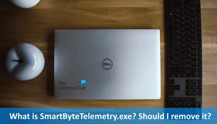 ¿Qué es SmartByteTelemetry.exe? ¿Debo quitarlo?