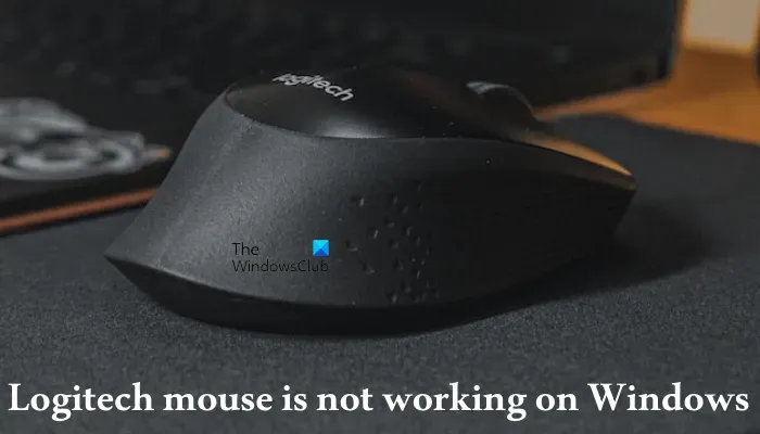 La souris Logitech ne fonctionne pas sous Windows 11/10