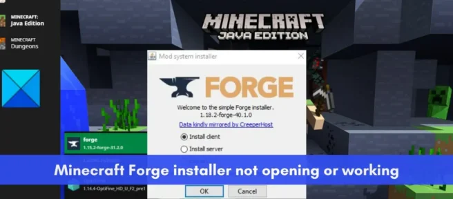 Il programma di installazione di Minecraft Forge non si apre o non funziona su Windows 11