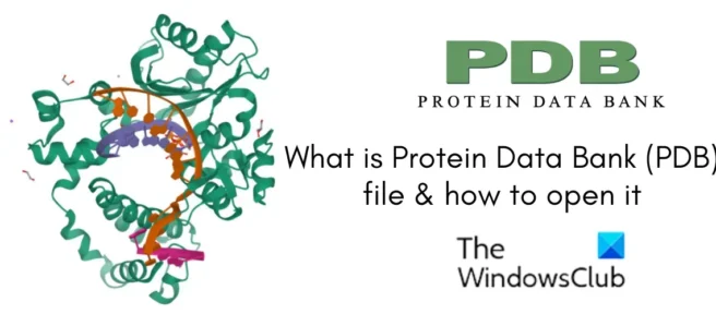 Che cos’è un file PDB (Protein Data Bank)? Come aprirlo e visualizzarlo in Windows 11?