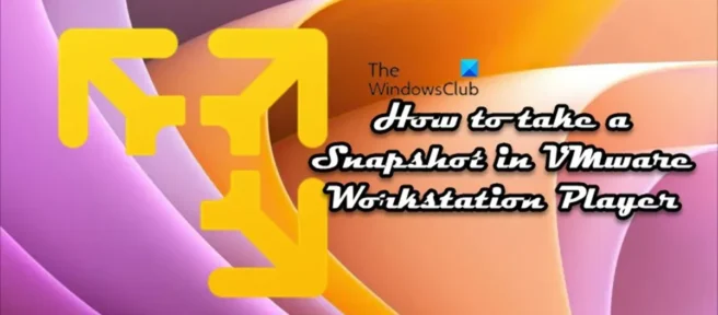VMware Workstation Player에서 스냅샷을 찍는 방법
