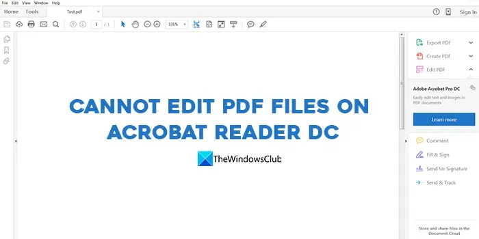 Acrobat Reader DC에서 PDF 파일을 편집할 수 없음