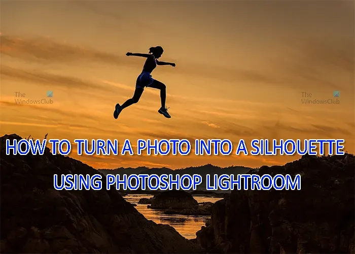 Lightroom에서 사진을 실루엣으로 바꾸는 방법