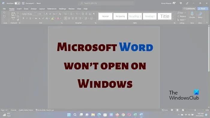 Windows PC에서 Microsoft Word가 열리지 않습니다.