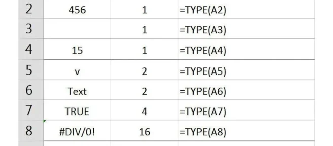 Excel의 TYPE 함수를 사용하여 셀의 데이터 유형 확인