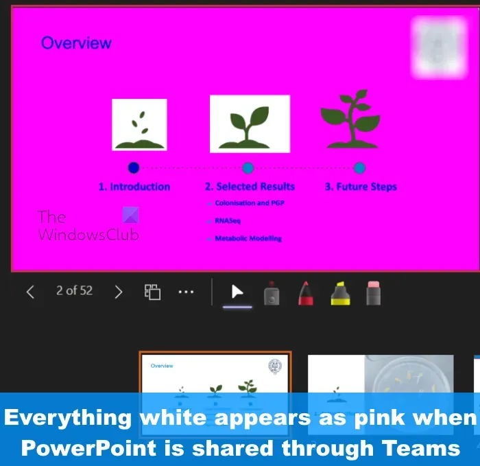 PowerPoint 프레젠테이션이 분홍색이 됨