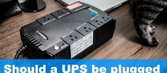 UPS를 서지 보호기에 연결해야 합니까?