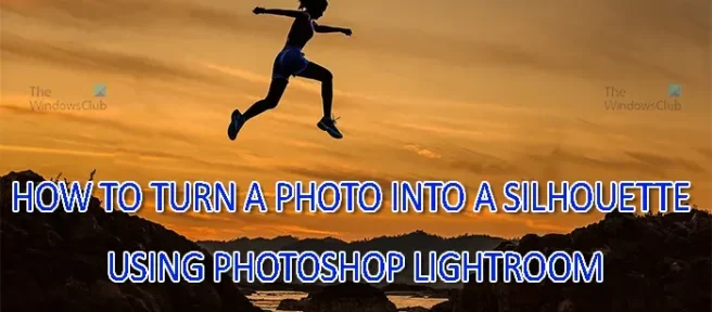 Hoe maak je van een foto een silhouet in Lightroom