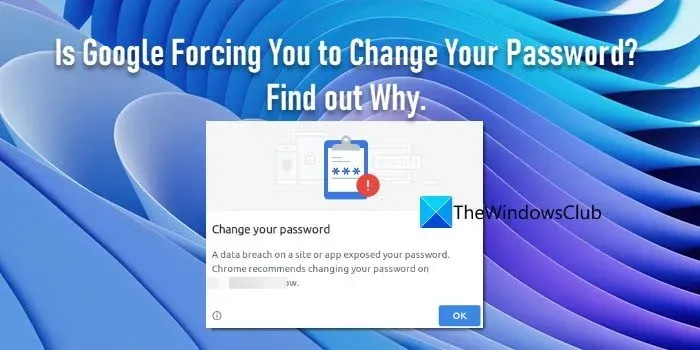Dwingt Google u uw wachtwoord te wijzigen? Erachter te komen waarom!