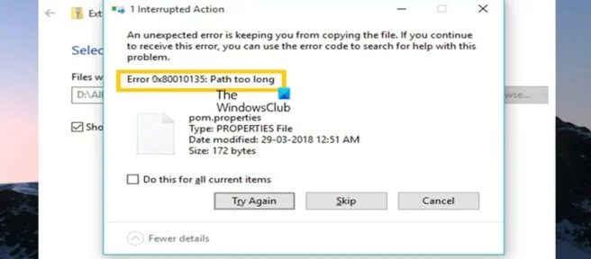 Erro de caminho muito longo 0x80010135 no Windows 11/10