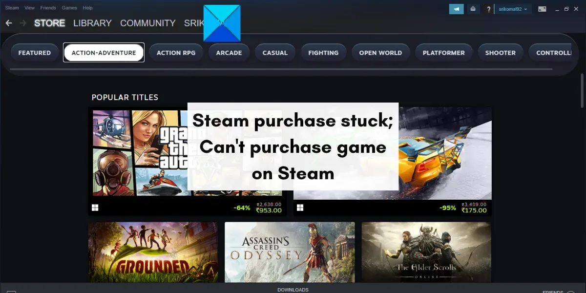 Steam の購入が停止しました。Steamでゲームを購入できません