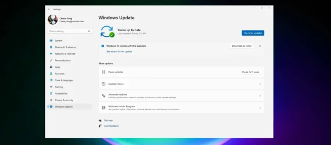Windows 11 22H2 未安裝或顯示？
