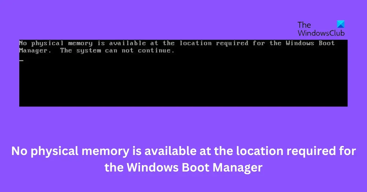 Windows 啟動管理器所需的空間中沒有可用的物理內存。