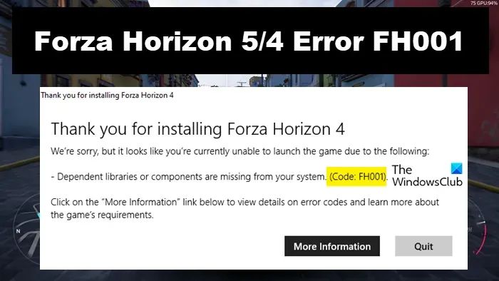 修復 Windows PC 上的 Forza Horizo​​n 錯誤 FH001